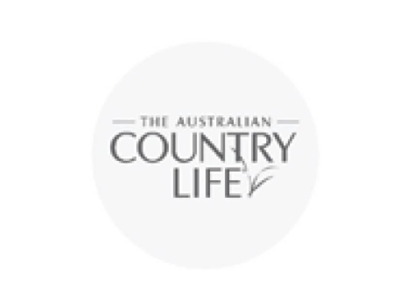 logo3